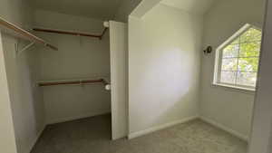 Walk in closet with light colored carpet