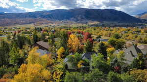 View of mountain backdrop with a tree filled landscape