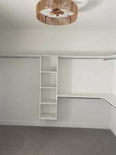 Spacious closet featuring dark carpet