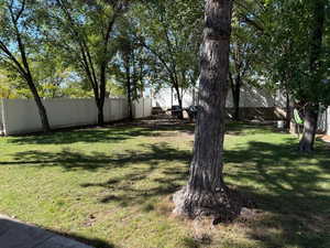 View of fenced backyard