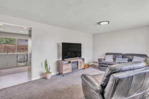 Living area with carpet and a textured ceiling
