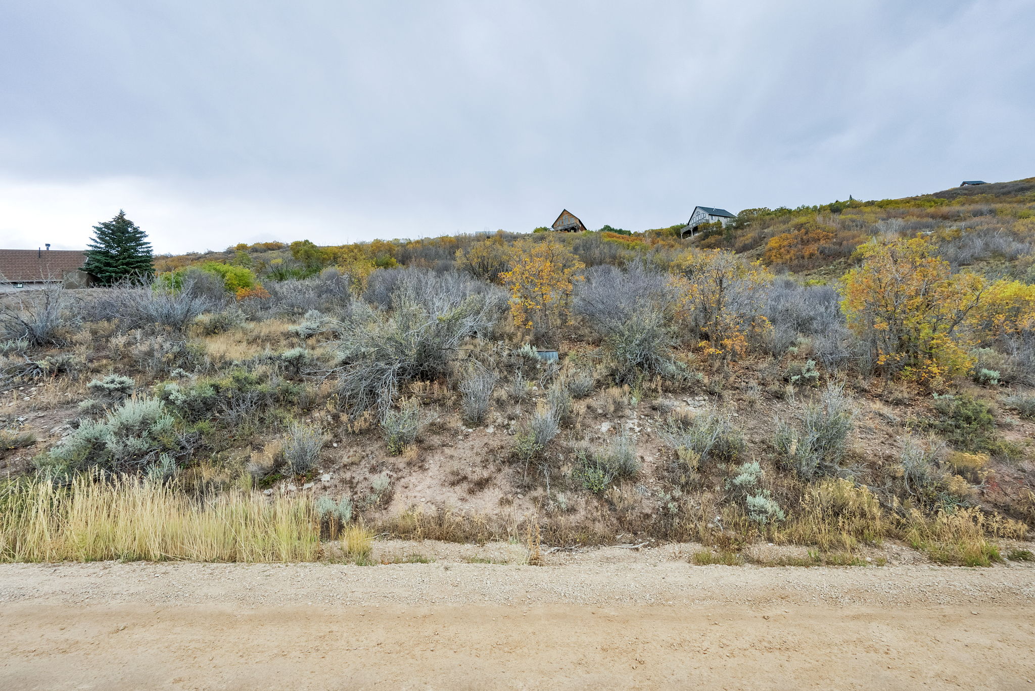 View of undeveloped land
