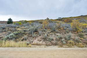 View of undeveloped land