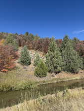 View of undeveloped land featuring a large body of water