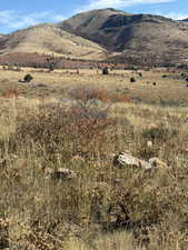 View of mountain backdrop with rural landscape