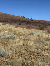 View of local wilderness featuring rural landscape