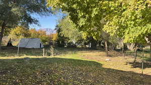 View of yard with a mountain view and view of wooded area