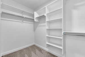 Walk in closet featuring light colored carpet