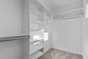 Spacious closet featuring light carpet