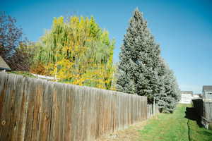 View of side yard. Property line is past the trees to the chain link fence.
