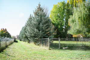 View of side yard (property goes to the 2nd fence line)
