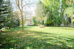 View of yard with view of mature trees