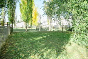 View of back yard and mature trees