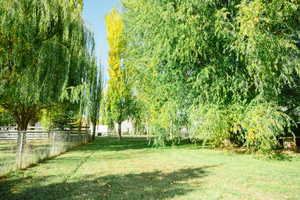 View of back yard with beautiful mature trees