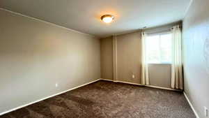 Empty room with dark carpet