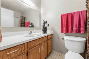 Bathroom with vanity and a shower with shower curtain