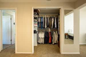 Master bedroom - walk-in closest