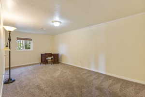 Carpeted empty room featuring baseboards and a textured ceiling