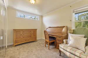 Home office with crown molding and light colored carpet