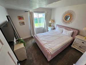 Bedroom featuring carpet flooring and a textured ceiling