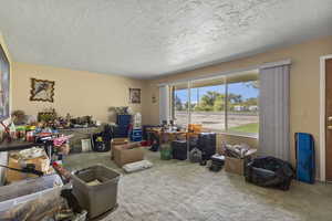 Living room featuring carpet flooring and a textured ceiling