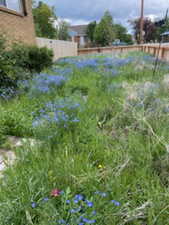 View of yard featuring a vegetable garden