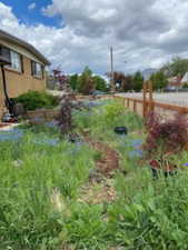 View of yard featuring a garden