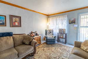 Carpeted living area featuring a textured wall, a textured ceiling, and crown molding