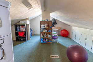 Additional living space with carpet flooring, a textured ceiling, and vaulted ceiling