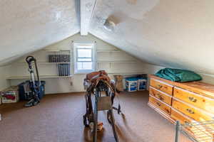 Bonus room with a textured ceiling, carpet flooring, and lofted ceiling