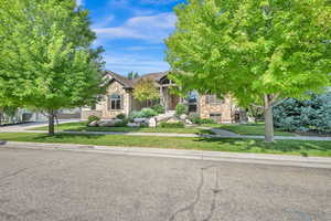 Obstructed view of property with a front yard and stone siding