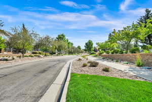 View of asphalt road with curbs