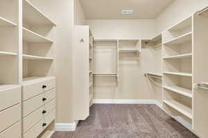 Walk in closet featuring light carpet