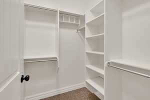 Spacious closet featuring light colored carpet