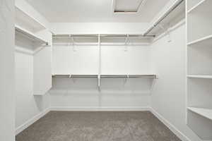 Spacious closet featuring carpet floors