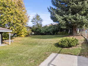 View of yard featuring a patio area