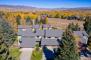Aerial perspective of suburban area featuring mountains and a heavily wooded area