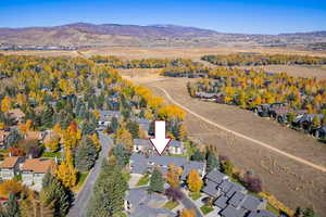 Aerial view of residential area with a mountain backdrop