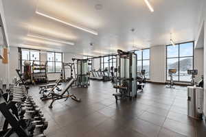 Gym featuring expansive windows