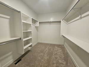 Walk in closet featuring dark colored carpet