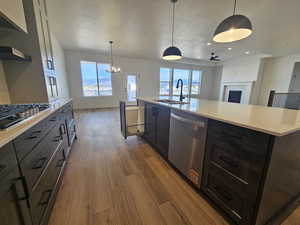 Kitchen with pendant lighting, open floor plan, light wood-type flooring, appliances with stainless steel finishes, and recessed lighting