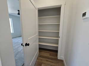 View of closet