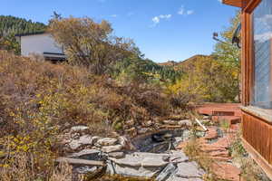 view of pond and waterfall area