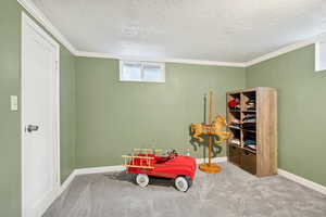 Playroom with carpet floors, a textured ceiling, and crown molding