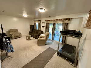 Living area with carpet and a textured ceiling