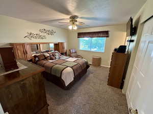 Master bedroom featuring carpet, a textured ceiling, and a ceiling fan