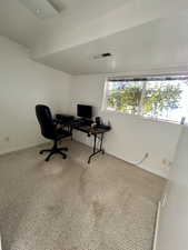 Downstairs carpeted home office