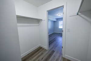 Walk in closet with light wood finished floors