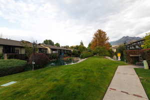 View of grassy yard featuring a residential view