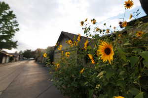 View of asphalt road